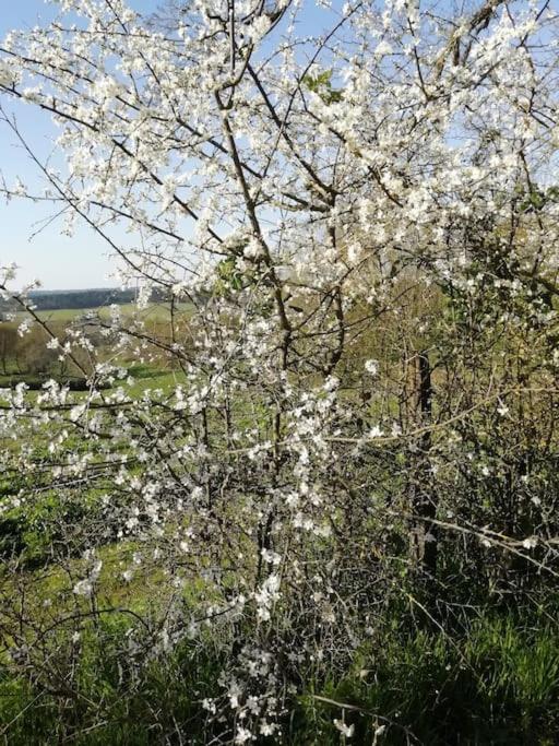Gite Aux Bois D'En Temps Lunas  Екстериор снимка