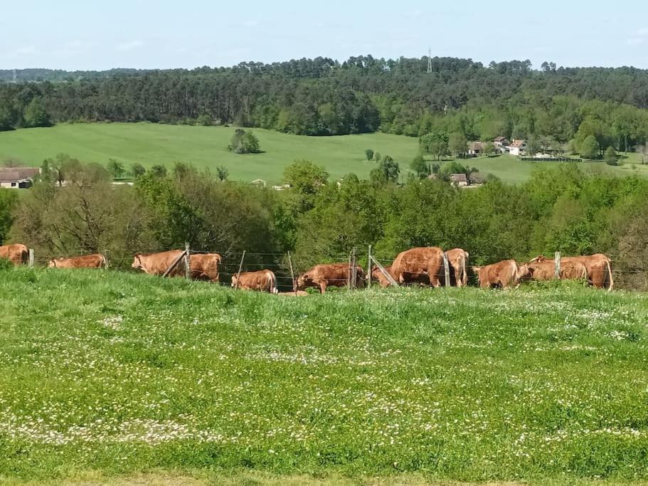 Gite Aux Bois D'En Temps Lunas  Екстериор снимка